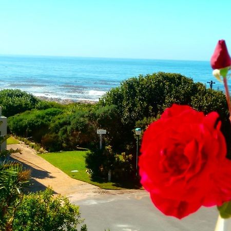 Belle Vue Guesthouse Hermanus Extérieur photo