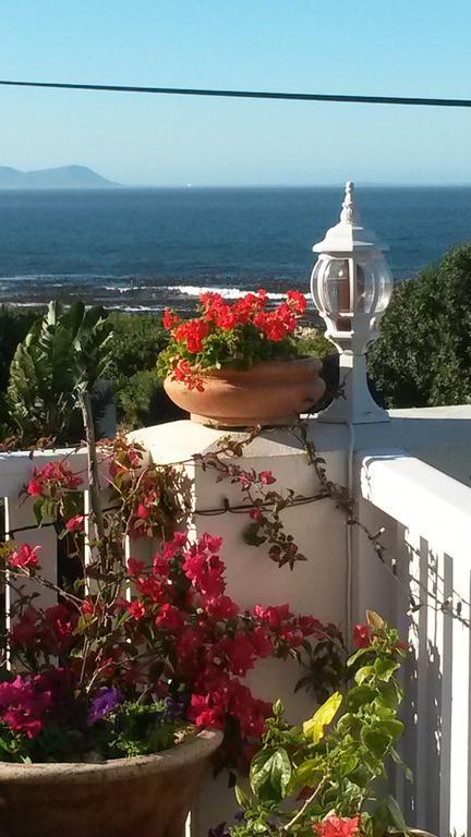 Belle Vue Guesthouse Hermanus Extérieur photo