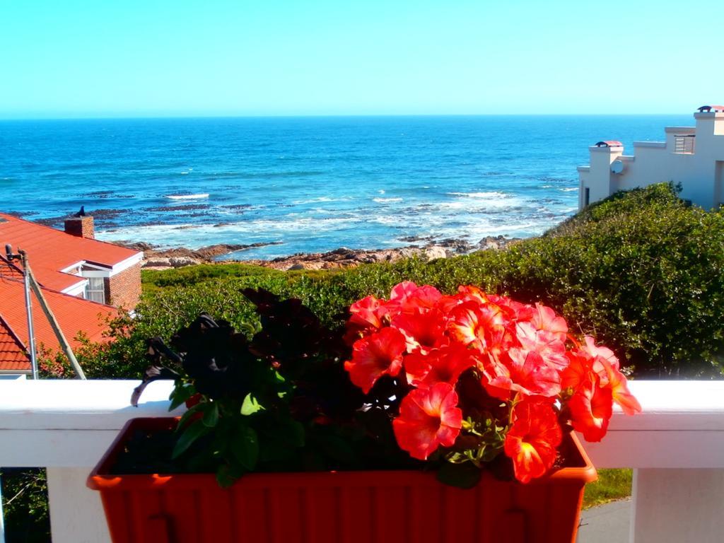 Belle Vue Guesthouse Hermanus Extérieur photo