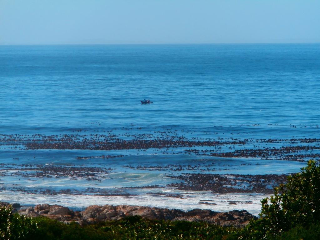 Belle Vue Guesthouse Hermanus Extérieur photo