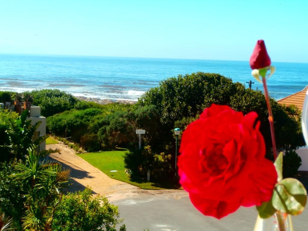 Belle Vue Guesthouse Hermanus Extérieur photo