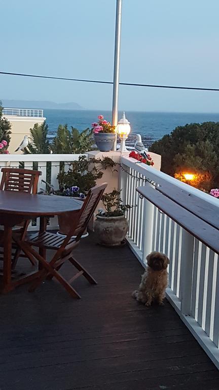 Belle Vue Guesthouse Hermanus Extérieur photo